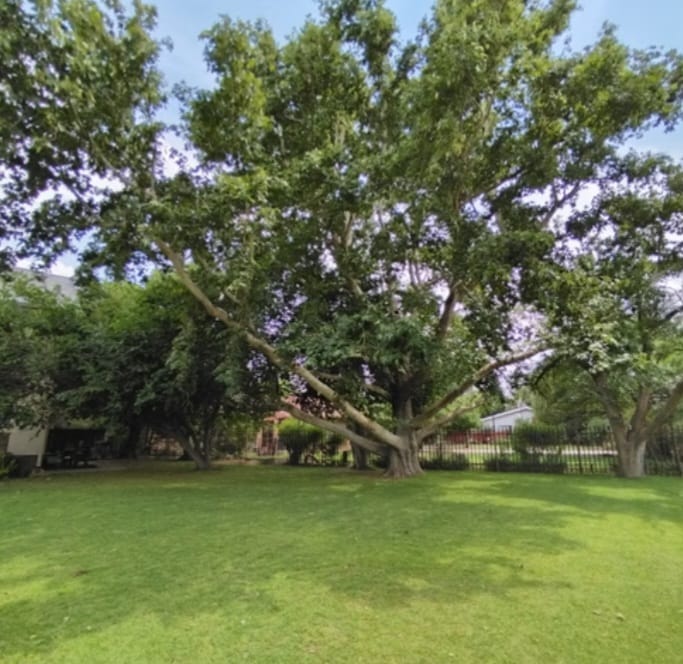 4 Bedroom Property for Sale in Christiana North West